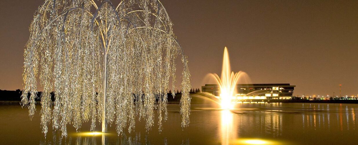 Central Park lake light up water fountain with tree at night