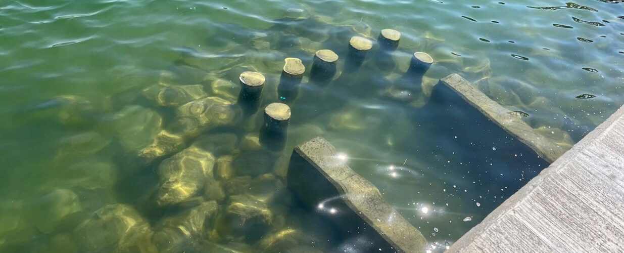 water next to dock at St Pete Beach