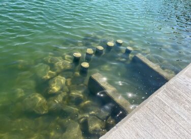 water next to dock at St Pete Beach