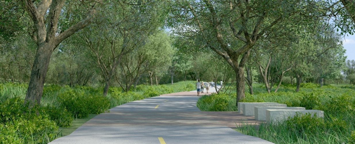 rendering of trail and trees at Trinity Forest