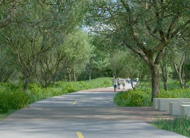 rendering of trail and trees at Trinity Forest