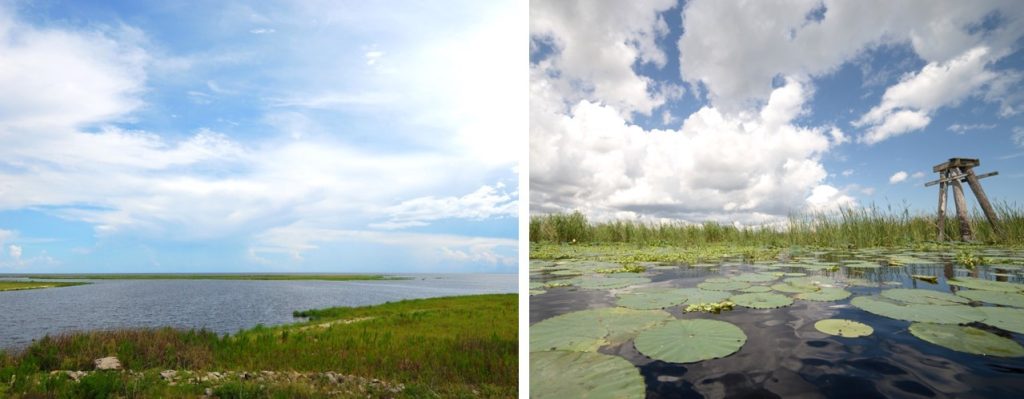 Lake view and lily pads at Lake Okeechobee, Florida