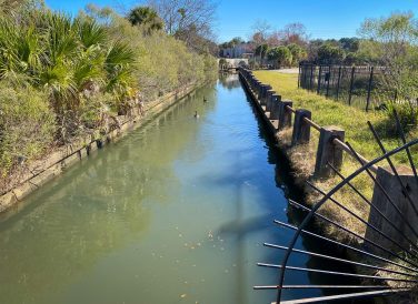 Hogans Creek in Jacksonville, FL