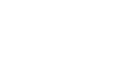 Technology Advancement Group (TAG) Halff ERG logo