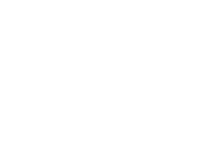 Veteran Engagement Team (VET) Halff ERG logo